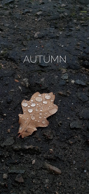 Free Nature Autumn photo and picture
