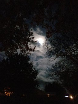 Nacht, Maan, Wolken, Bomen, Spookachtige