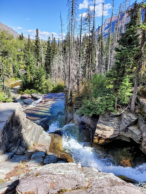 Free Nature River photo and picture
