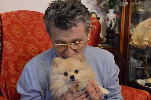 Free Love Pet photo and picture