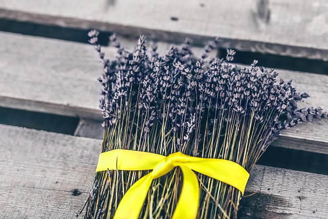 Free Flowers Lavender photo and picture