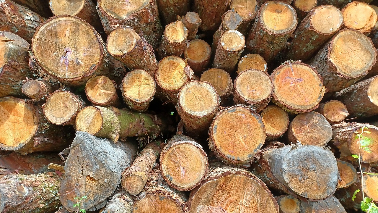Wood Log Logs Free photo on Pixabay Pixabay
