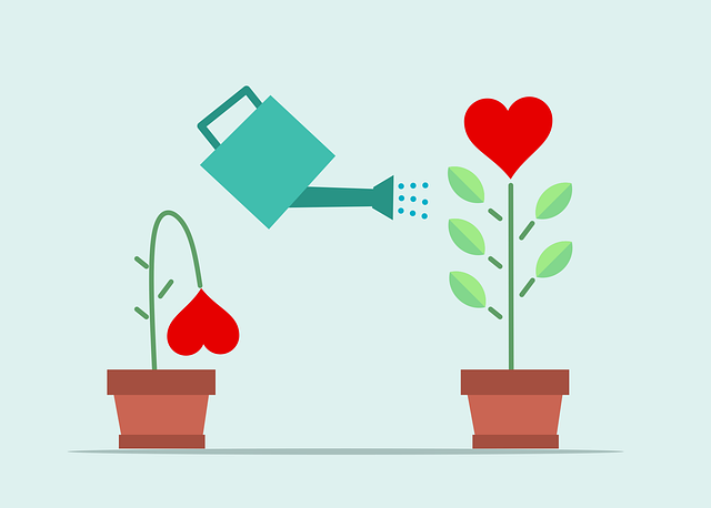 Free watering can plants heart vector