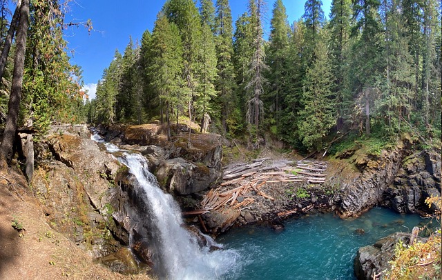 Free Waterfall Nature photo and picture