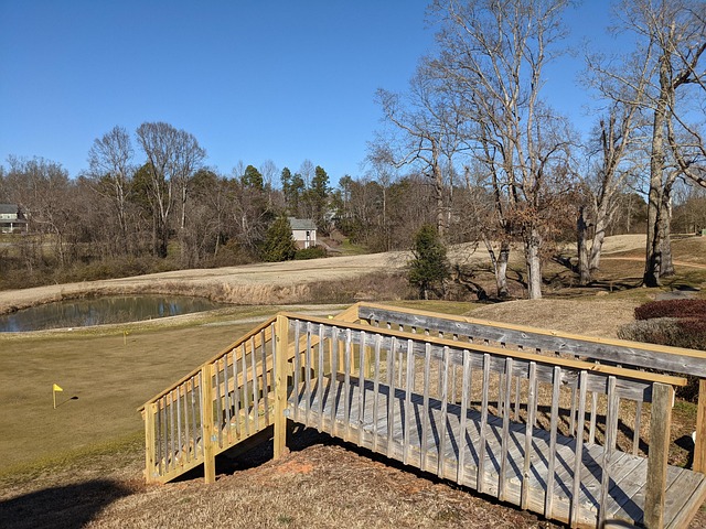 Free Golf Putting photo and picture
