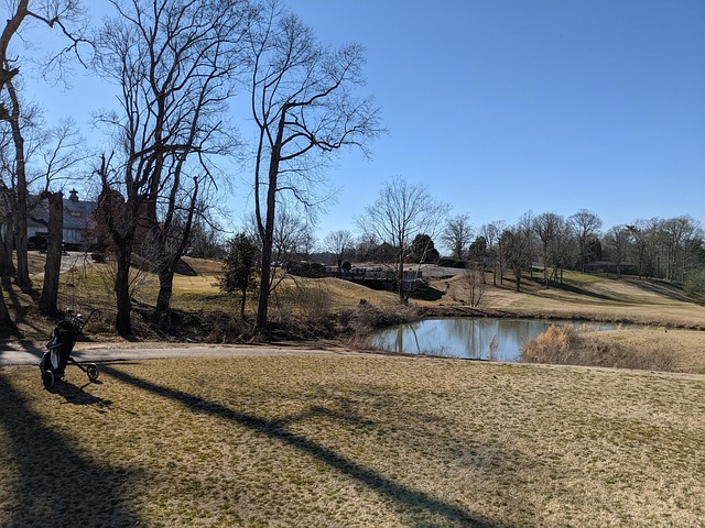 Free Pond Golf photo and picture