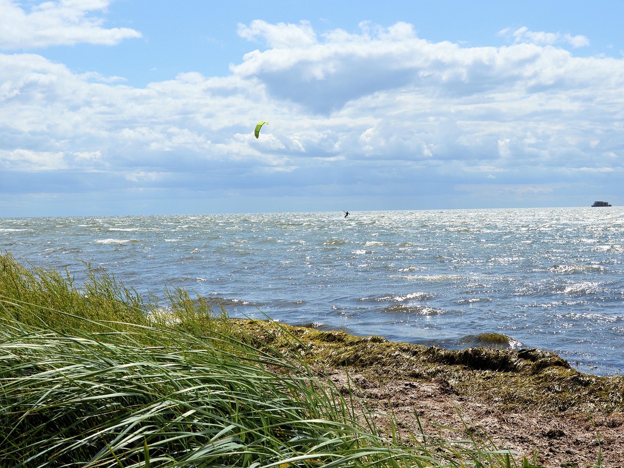 Free Baltic Sea Bodden photo and picture