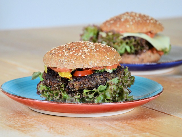 Free Burger Hamburger photo and picture
