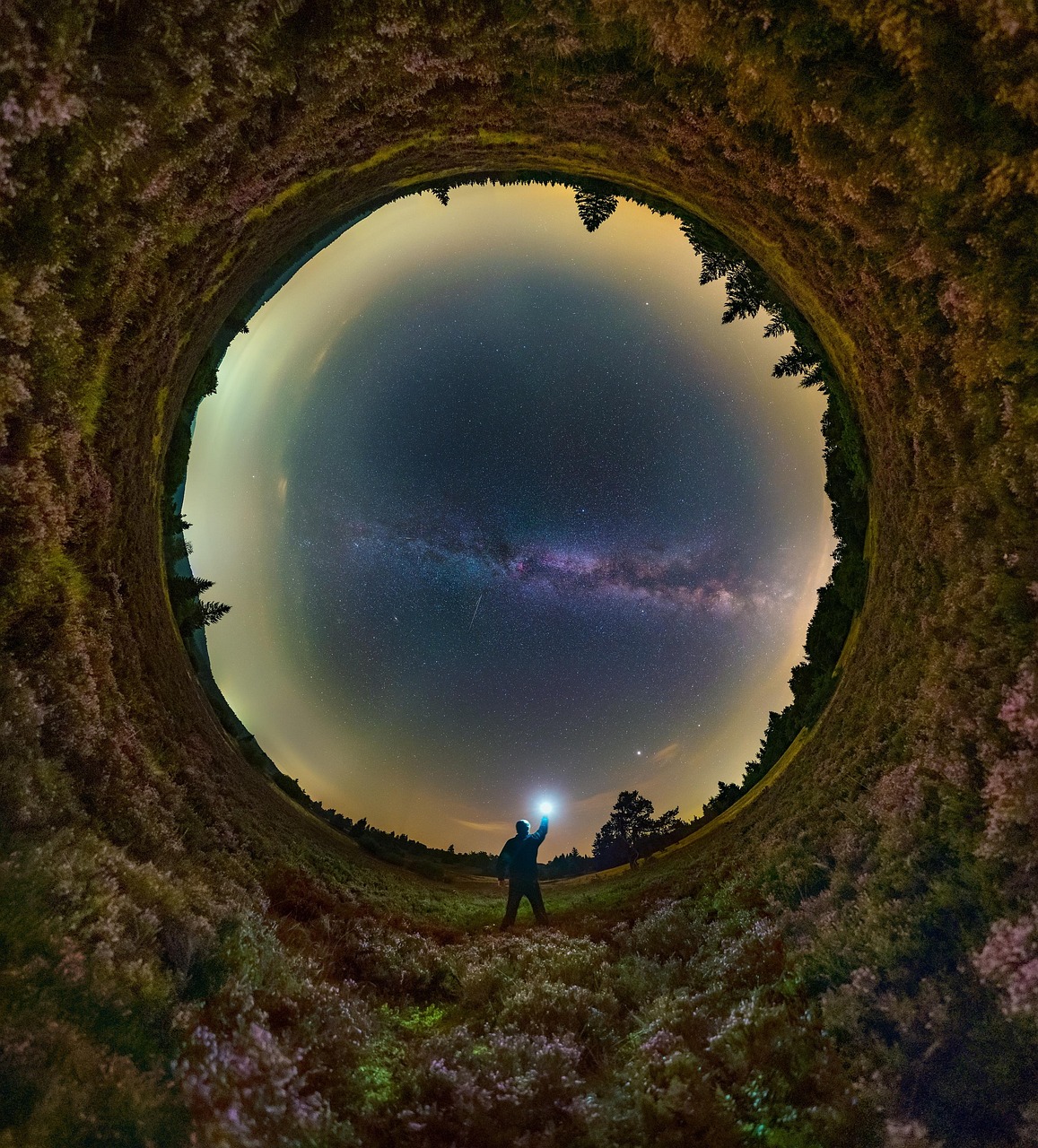 全景 夜晚 森林 - Pixabay上的免费照片