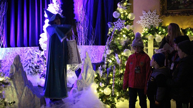 Kerstmis, Magie, Fee, Kinderen, Plezier
