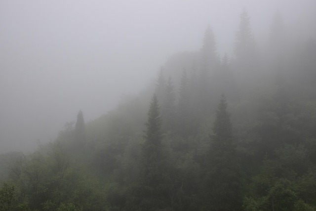 Névoa, Montanhas, Arvores, Natureza