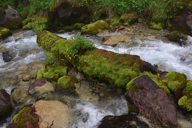 Rio, Montanhas, Quirguistão