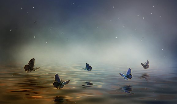 Borboletas, Lago, Nebuloso, Noite, Fundo