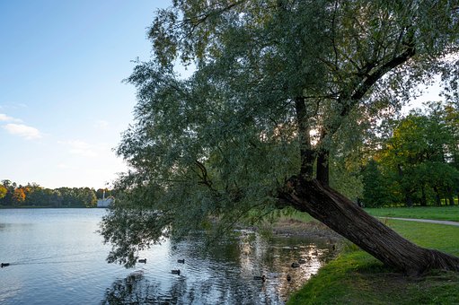 Free Lake Full Hd Wallpaper photo and picture