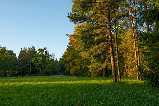 Free Park Free Background photo and picture