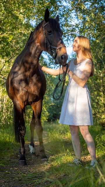 Pferd, Tier, Mädchen, Porträt, Frau
