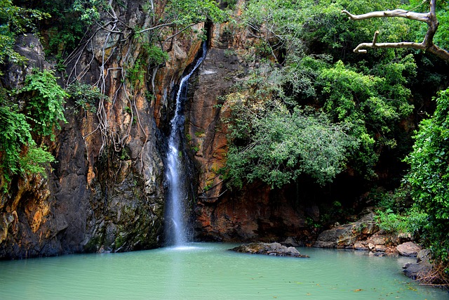 Free Waterfall Lake photo and picture
