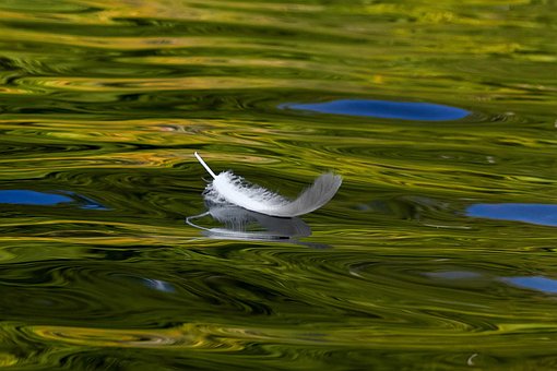 Free Pen Water photo and picture