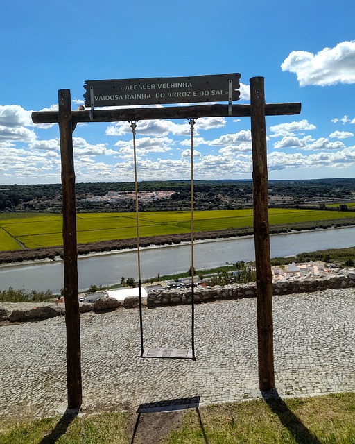 Free Swing Landscape photo and picture