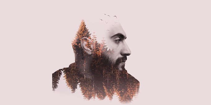 Free Man Forest illustration and picture