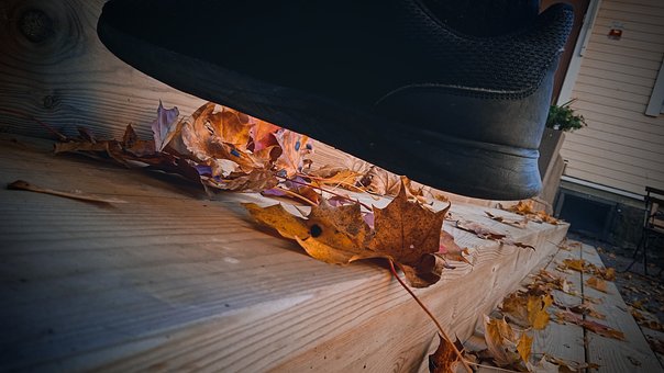 Rk, Imagen, Imagen De Rk, Zapato, Otoño