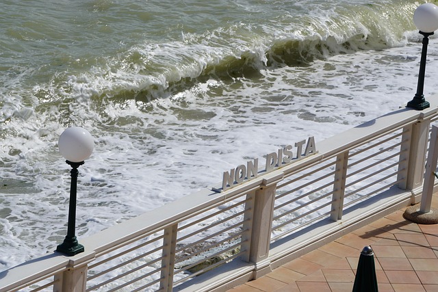Free Wave Sea photo and picture