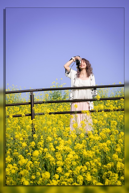 Free Sky Japan photo and picture