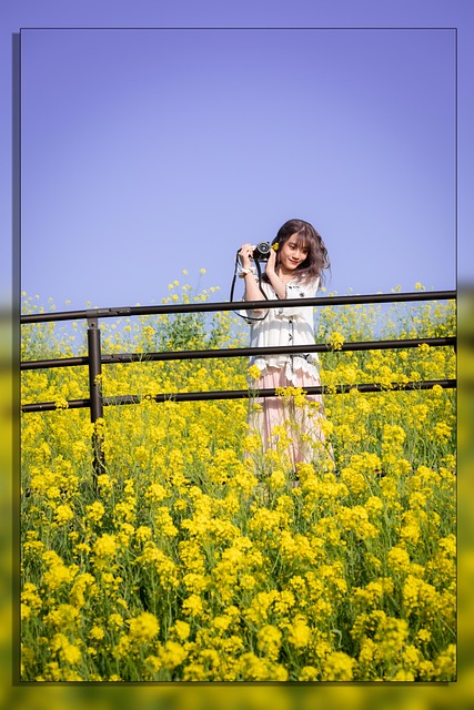 Free Sky Japan photo and picture