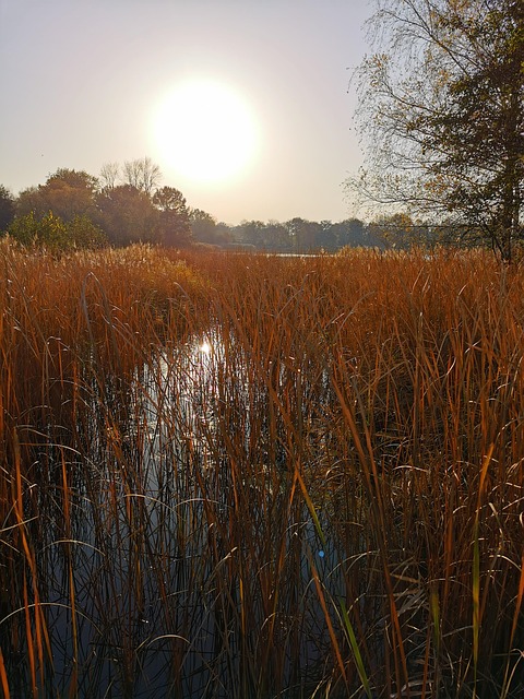 Fall Eve Lake - Free photo on Pixabay - Pixabay