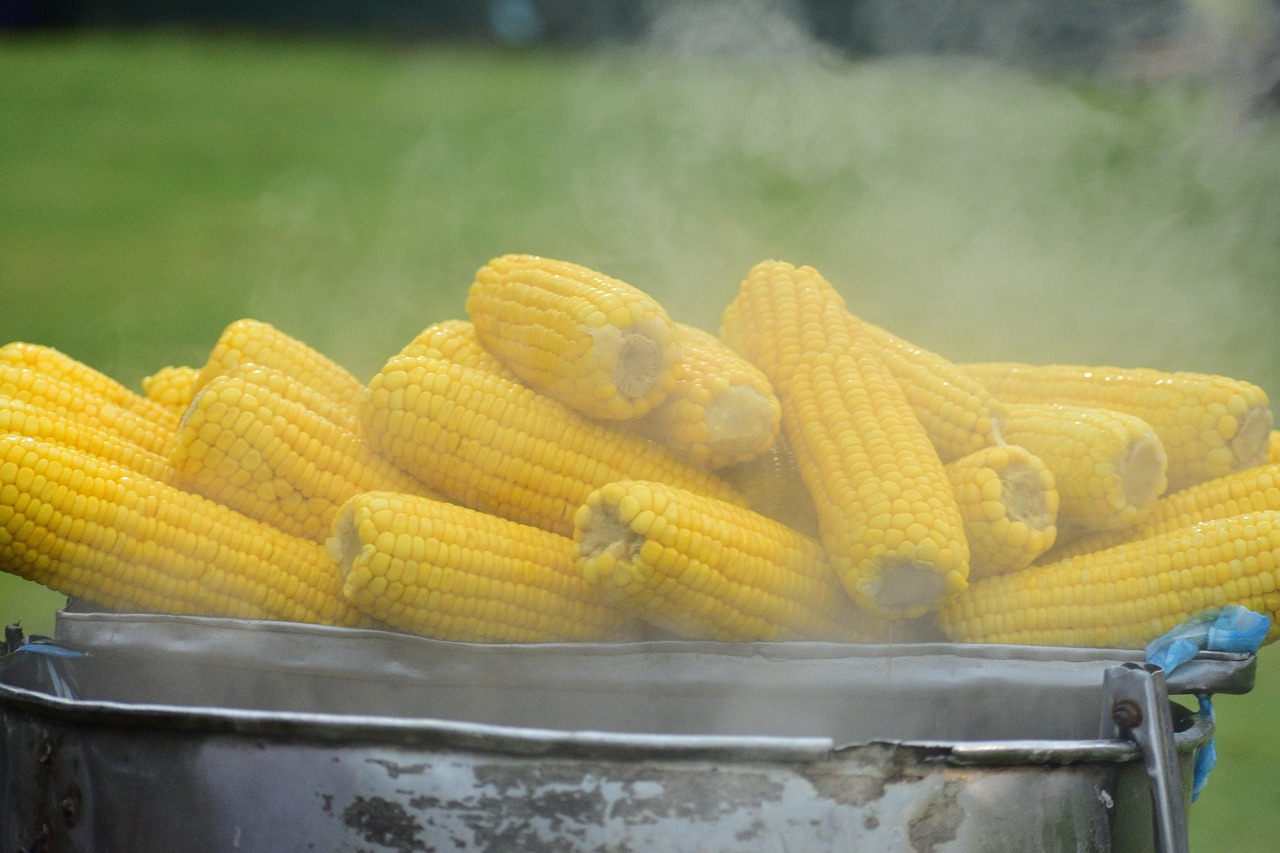 10,000+ Free Corn Cooking & Corn Images - Pixabay