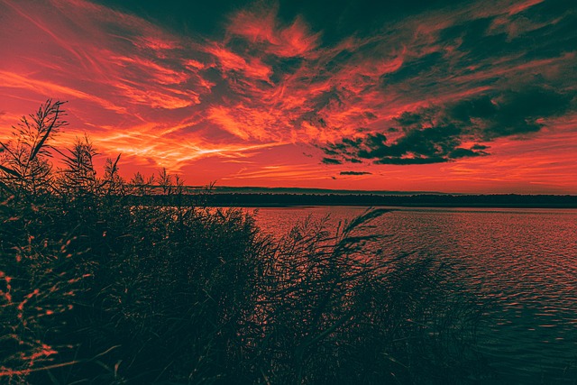 Oscuridad, Lago, Naturaleza, Cañas