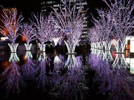 Free Hiroshima Trees photo and picture