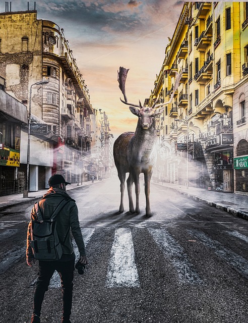 Free Cinema Photomontage photo and picture