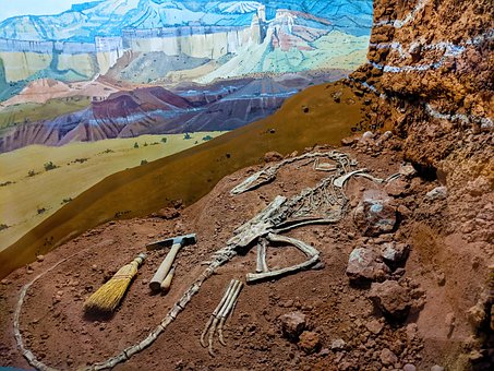 Archäologie, Geschichte, Wissenschaft