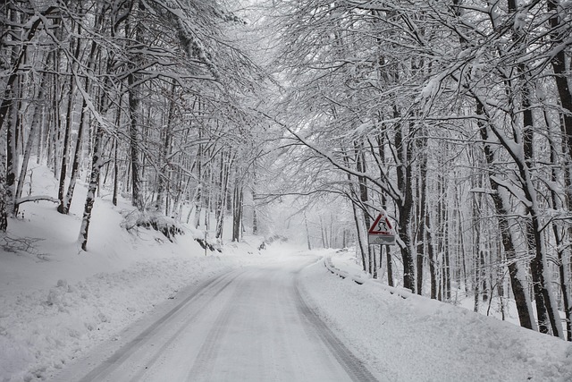 Free Winter Snow photo and picture