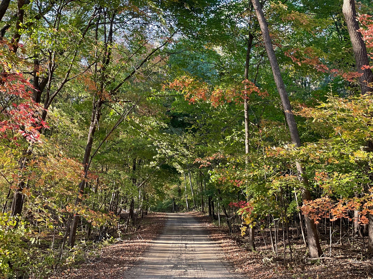 도로 가을 길 - Pixabay의 무료 사진 - Pixabay