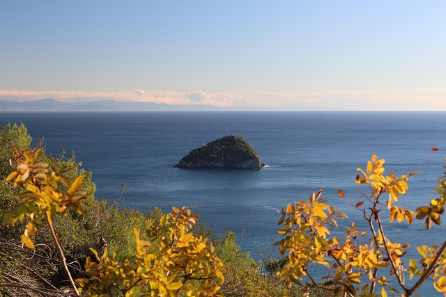 Free Island Sea photo and picture