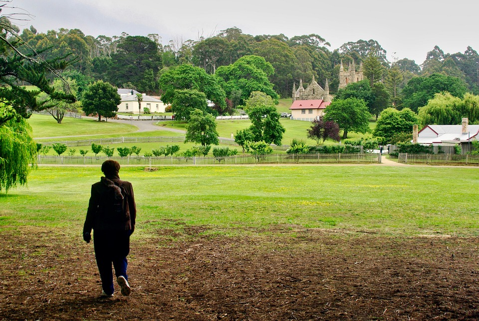 Man Person Field - Free photo on Pixabay - Pixabay