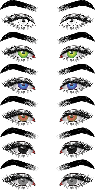 Eyes Bitmap Download Eyes, Beauty, Eyebrows. Royalty-Free Vector Graphic - Pixabay