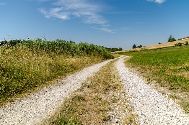 Free Country Road Meadow photo and picture