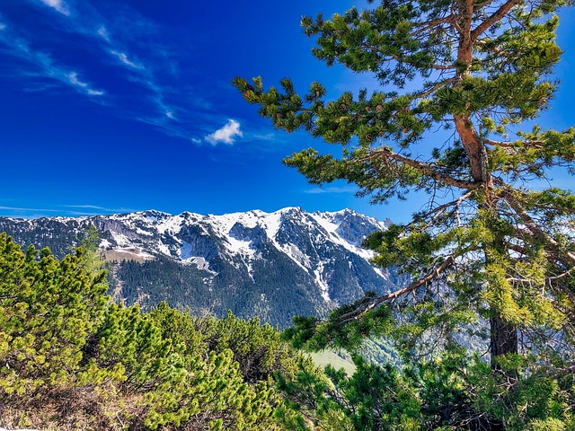 Free Mountains Alps photo and picture