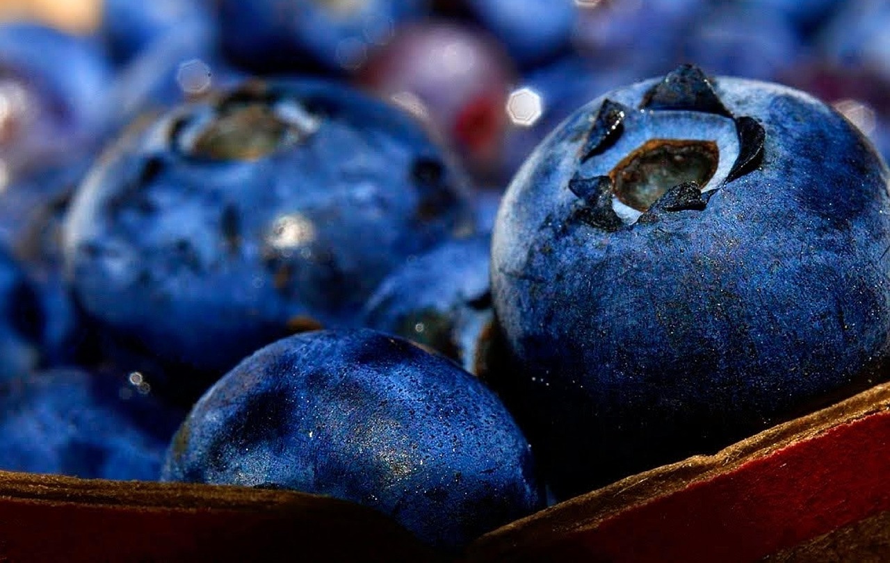 Bluberi Buah-Buahan Berry - Foto gratis di Pixabay - Pixabay