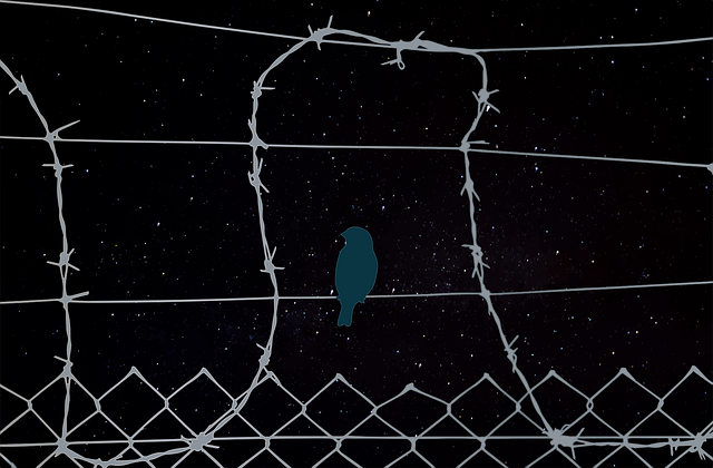 Free bird fence wire vector