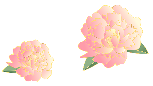 Blomster, Pioner, Innredning, Skjære Ut