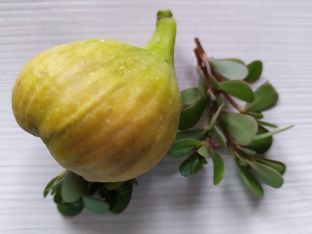 Free Fruit Nearby photo and picture