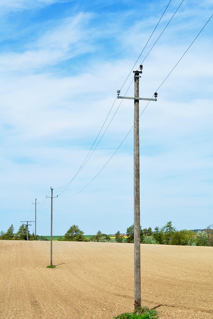 Free High Voltage Power Pole photo and picture