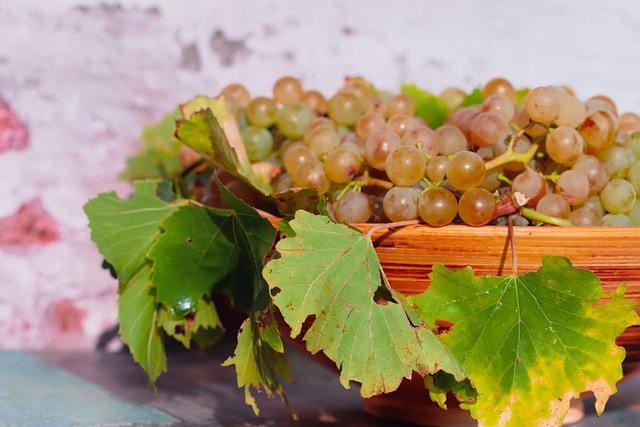 Druvor Gröna Frukt - Gratis foto på Pixabay