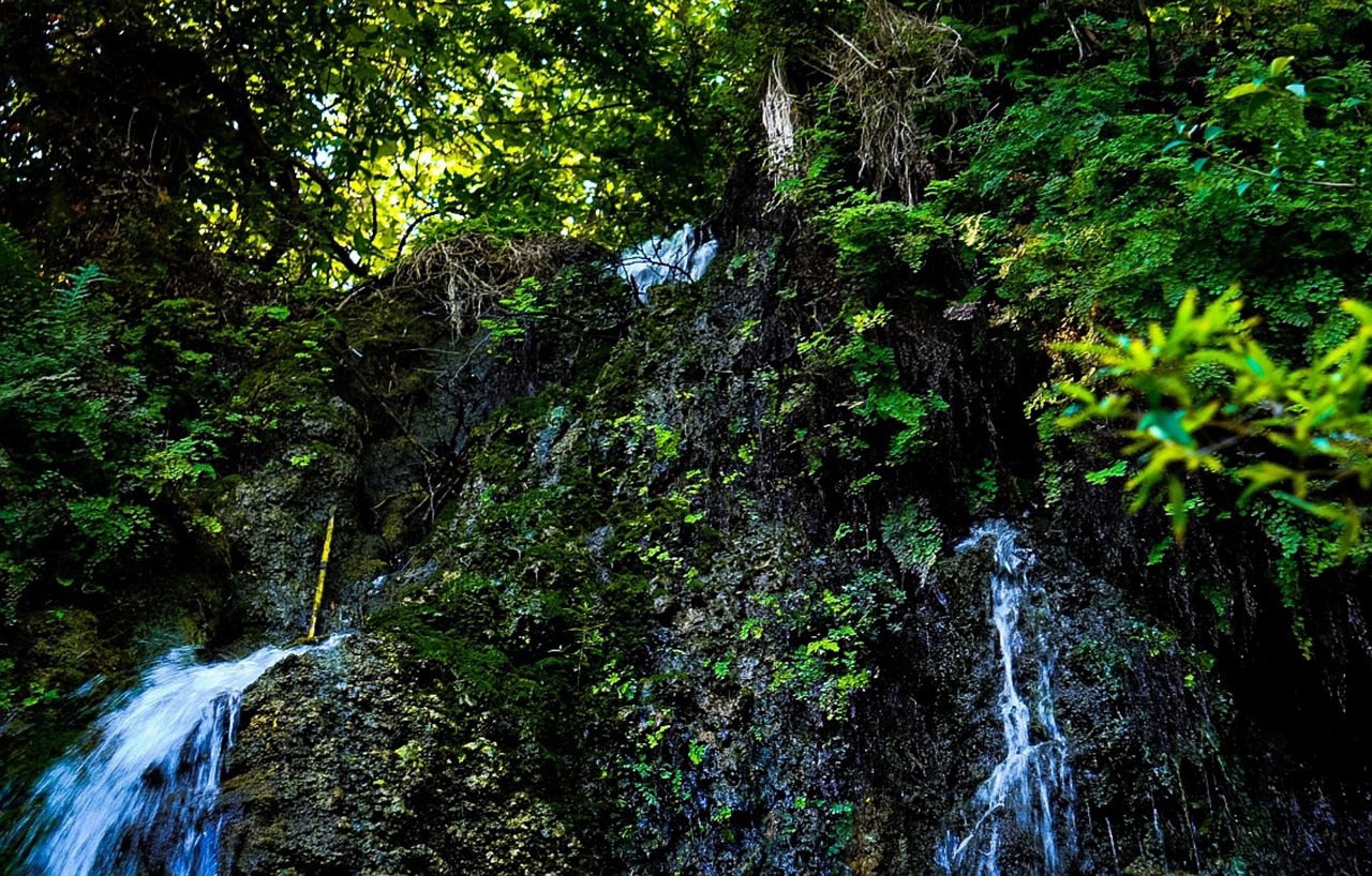 Agua Naturaleza Primavera - Foto gratis en Pixabay - Pixabay