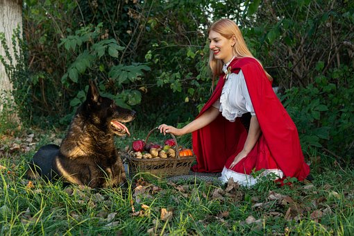 Rotkäppchen, Wolf, Märchen, Wald, Natur