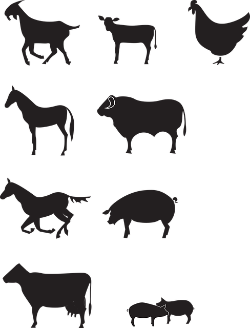 Free Farm Animals Animal Husbandry vector and picture